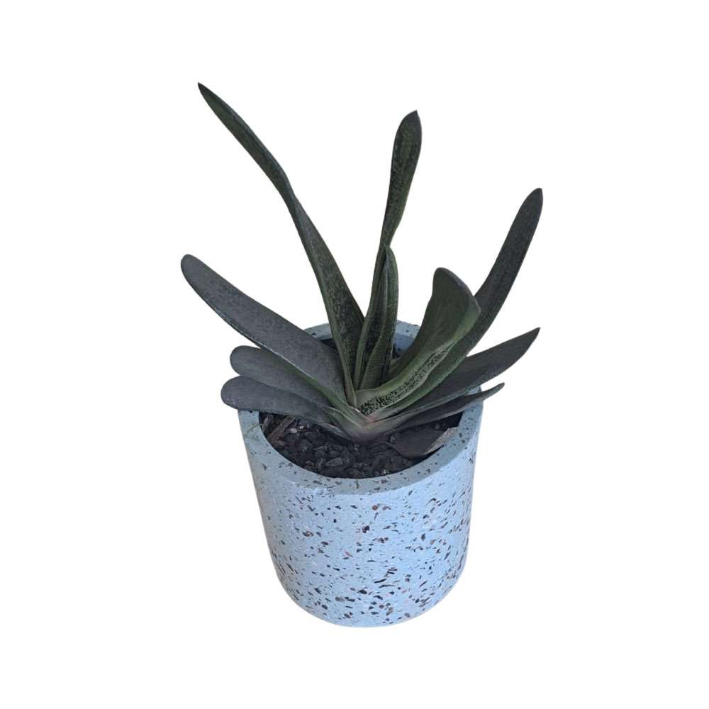 Maceta Terrazo